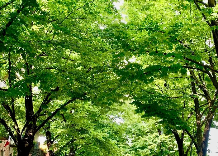 Daire Residenza Santachiara *